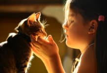 Proteção de animais: fanatismo não ajuda!