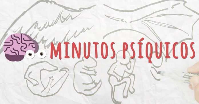 Em pouco minutos, canal do Youtube ensina Psicologia de maneira fácil e lúdica