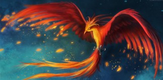 Ressurgindo das Cinzas – o vôo da Fênix