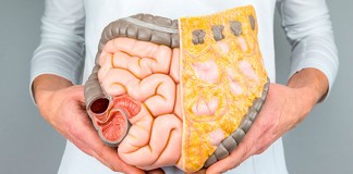 Intestino e depressão: uma questão de limpeza