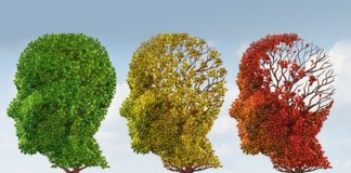 Entenda mais sobre as três fases da doença de Alzheimer