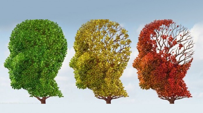 Entenda mais sobre as três fases da doença de Alzheimer