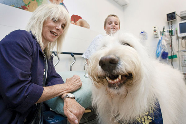 psicologiasdobrasil.com.br - Hospital permite que animais de estimação visitem seus donos doentes