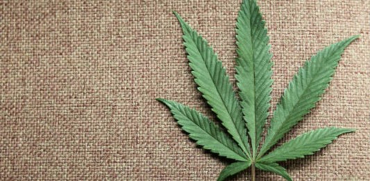 Adolescentes que fumam maconha têm 3 vezes mais chances de desenvolver psicoses na fase adulta