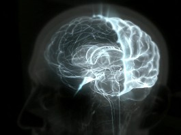 A relação do analista com o inconsciente