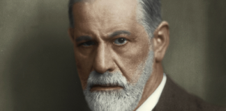 Freud Implica