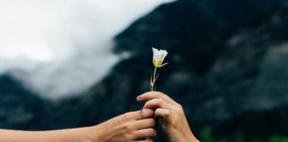 Viver de amor romântico não basta; a importância dos amigos na saúde mental.