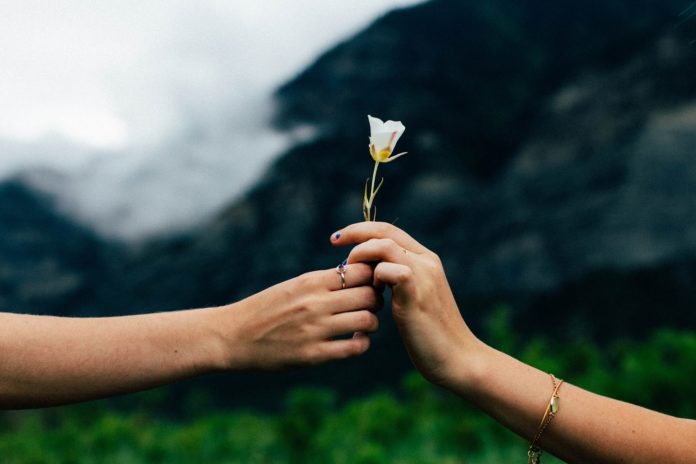 Viver de amor romântico não basta; a importância dos amigos na saúde mental.