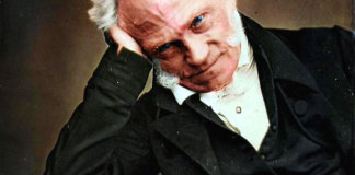 “Quem não ama a solidão, não ama a liberdade.”- Arthur Schopenhauer