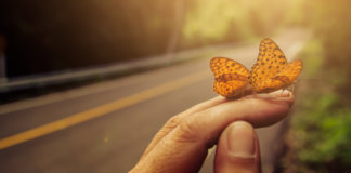 Reveja aquilo que você aprendeu, se não lhe foi ensinado continuar aprendendo.