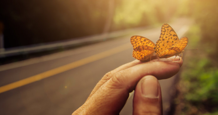 Reveja aquilo que você aprendeu, se não lhe foi ensinado continuar aprendendo.