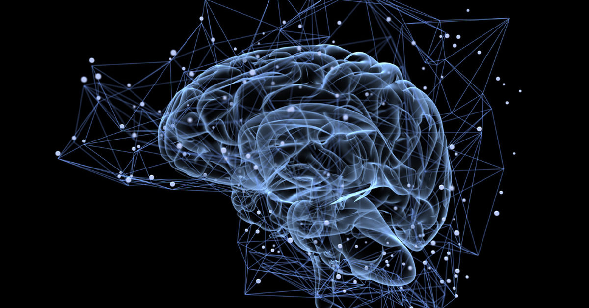 cerebro-muda-de-acordo-como-e-usado-diz-neurocientista