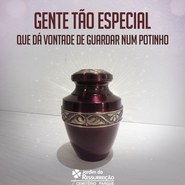 psicologiasdobrasil.com.br - 'Queria te guardar em um potinho': memes que conquistam fãs para cemitério do Piauí