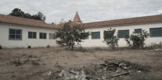 O holocausto brasileiro e os estragos irreparáveis do silêncio