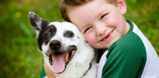 Cachorros ajudam a diminuir o bullying em escolas