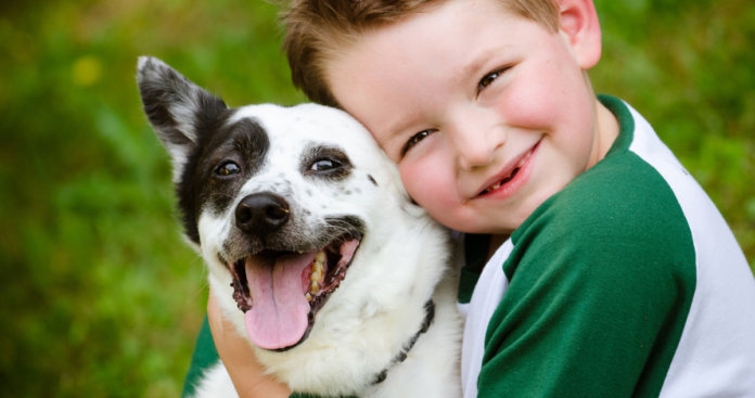 Cachorros ajudam a diminuir o bullying em escolas