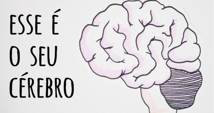 Vídeo mostra como saber sobre o cérebro pode te ajudar a viver melhor