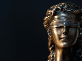 Setores da Psicologia Jurídica