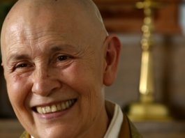 Pessoas ansiosas não são burras, são sábios no caminho do autoconhecimento.