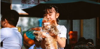 Benefícios para crianças que crescem com animais de estimação