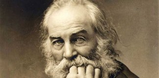 “Carpe Diem”, o belo e encantador poema de Walt Whitman que irá motivá-lo a lutar por seus sonhos