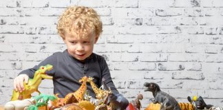 Crianças apaixonadas por dinossauros possuem uma inteligência mais desenvolvida
