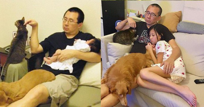 Pai, filha e animais de estimação tiram a mesma foto por 10 anos. Lindo de ver!