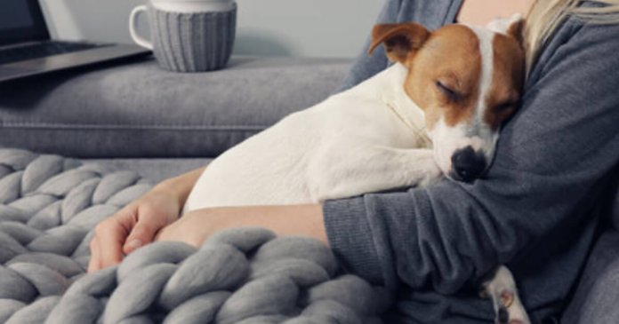 Antes de morrer, já no hospital, mulher e sua cachorrinha ficam abraçadas por uma hora