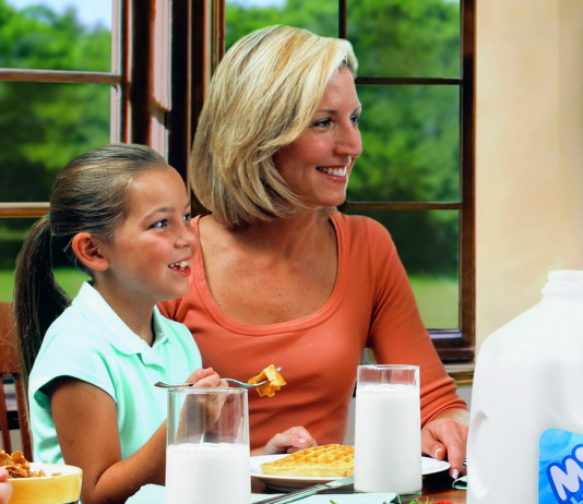 Qual é a família que os políticos querem defender?