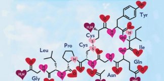 Oxitocina, o hormônio do amor e da felicidade