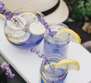 asomadetodosafetos.com - Limonada de Lavanda, a bebida que ajuda a reduzir a ansiedade e o estresse