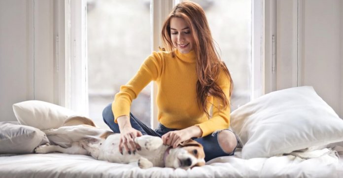 Ter um cachorro em casa deixa você mais feliz