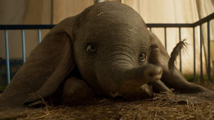 6 excelentes razões para assistir Dumbo assim que tiver chance