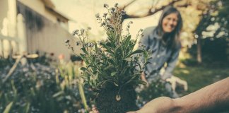 Praticar jardinagem pode te fazer feliz e ainda ajudar na depressão
