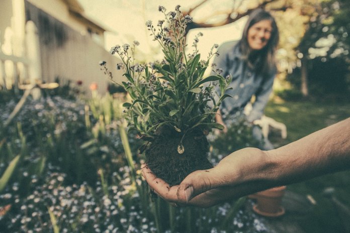 Praticar jardinagem pode te fazer feliz e ainda ajudar na depressão