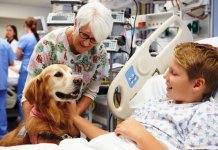 Conheça os benefícios da pet terapia