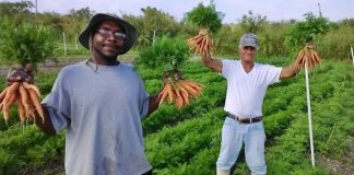 Fazenda de alimentos orgânicos contrata apenas moradores de rua