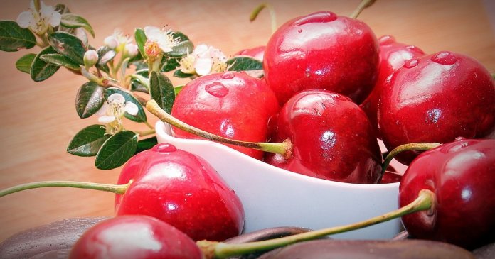 Comer cerejas emagrece, combate Alzheimer, cancro e outras doenças; saiba mais!