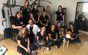 psicologiasdobrasil.com.br - Terapia com cães ajuda menino com autismo a começar a conversar