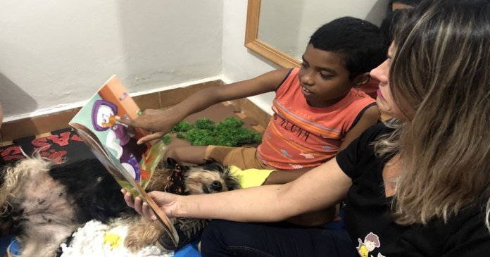 Terapia com cães ajuda menino com autismo a começar a conversar