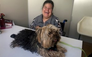 psicologiasdobrasil.com.br - Terapia com cães ajuda menino com autismo a começar a conversar