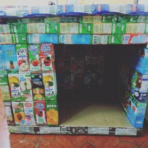 psicologiasdobrasil.com.br - Crianças reutilizam recipientes de suco para construir casas para cães e gatos de rua