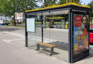 psicologiasdobrasil.com.br - Cidade holandesa transforma pontos de ônibus em jardins para as abelhas