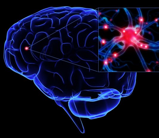 Descoberta da ciência oferece esperança de que a progressão do Parkinson possa ser interrompida