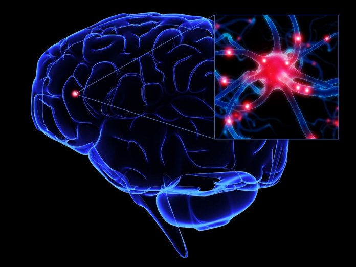 Descoberta da ciência oferece esperança de que a progressão do Parkinson possa ser interrompida