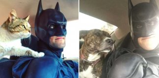 Há um Batman da vida real salvando animais que seriam sacrificados em abrigos