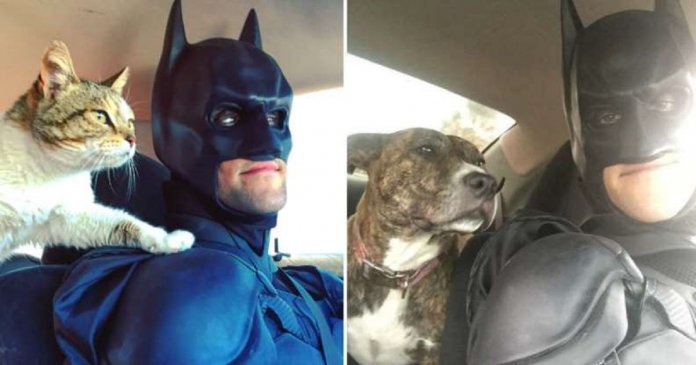 Há um Batman da vida real salvando animais que seriam sacrificados em abrigos