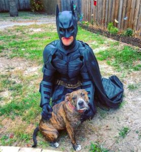 psicologiasdobrasil.com.br - Há um Batman da vida real salvando animais que seriam sacrificados em abrigos