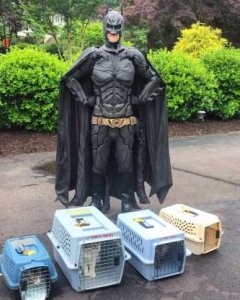 psicologiasdobrasil.com.br - Há um Batman da vida real salvando animais que seriam sacrificados em abrigos