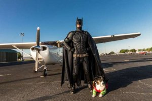 psicologiasdobrasil.com.br - Há um Batman da vida real salvando animais que seriam sacrificados em abrigos